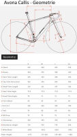 Avona Callis GRX Di2 2x12 Rose Carbon Gravelbike, Größe: XL