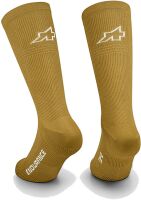 Assos Endurance Socks S11